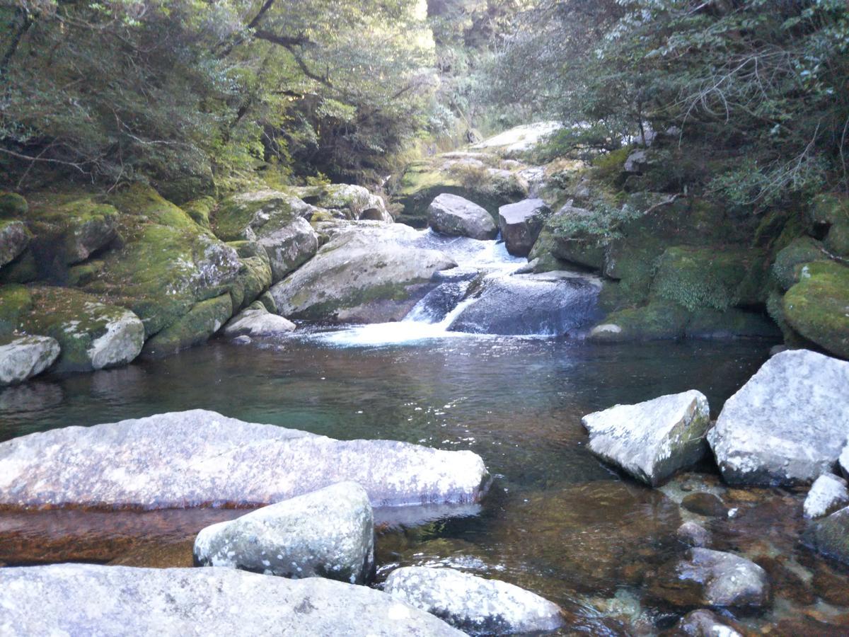 Cottage Yakusugi House Yakushima  Eksteriør billede