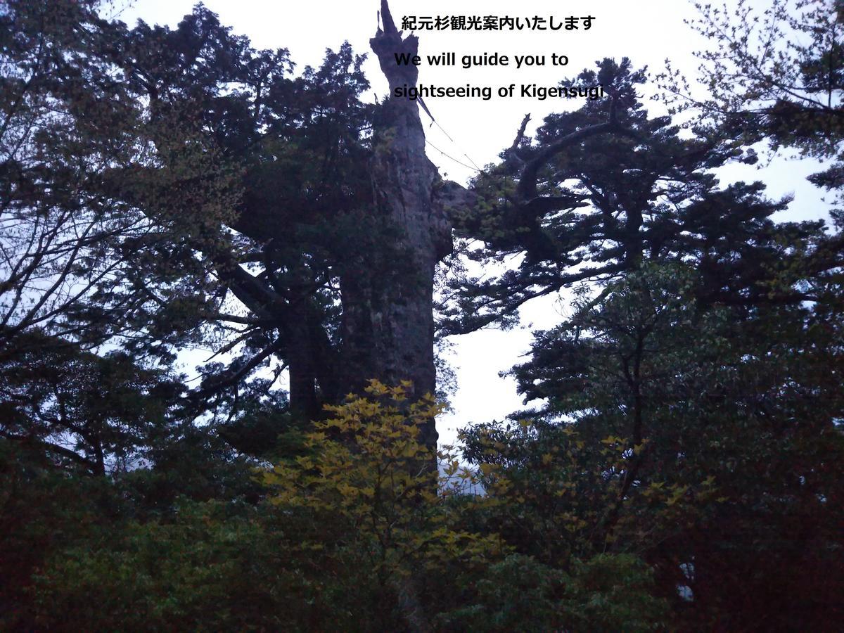 Cottage Yakusugi House Yakushima  Eksteriør billede