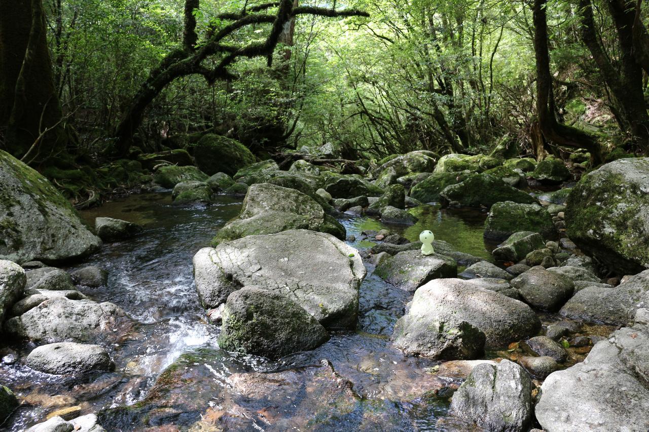 Cottage Yakusugi House Yakushima  Eksteriør billede