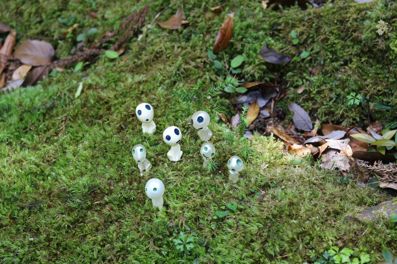 Cottage Yakusugi House Yakushima  Eksteriør billede