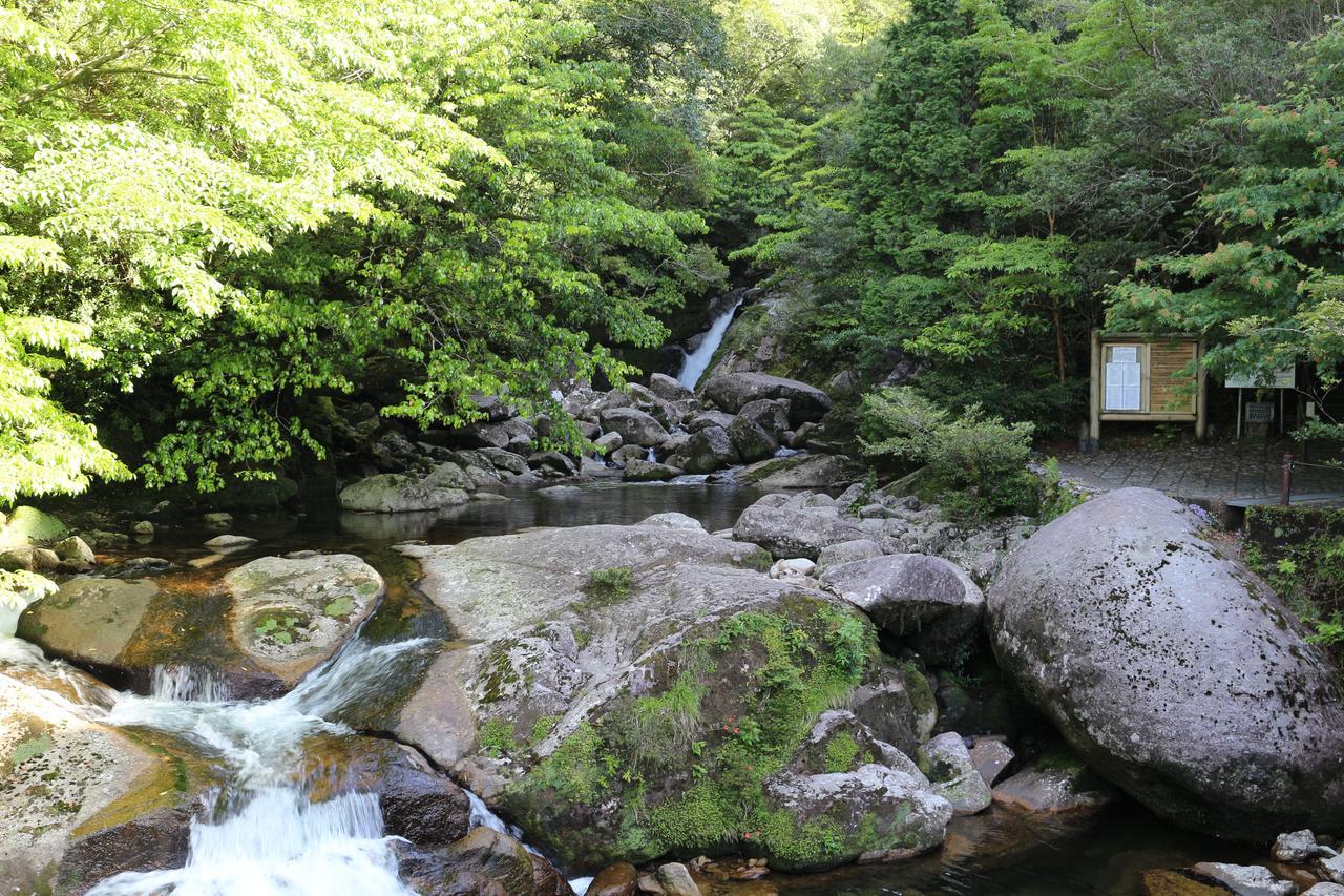 Cottage Yakusugi House Yakushima  Eksteriør billede