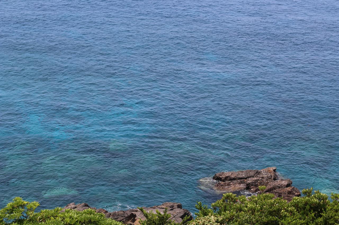 Cottage Yakusugi House Yakushima  Eksteriør billede