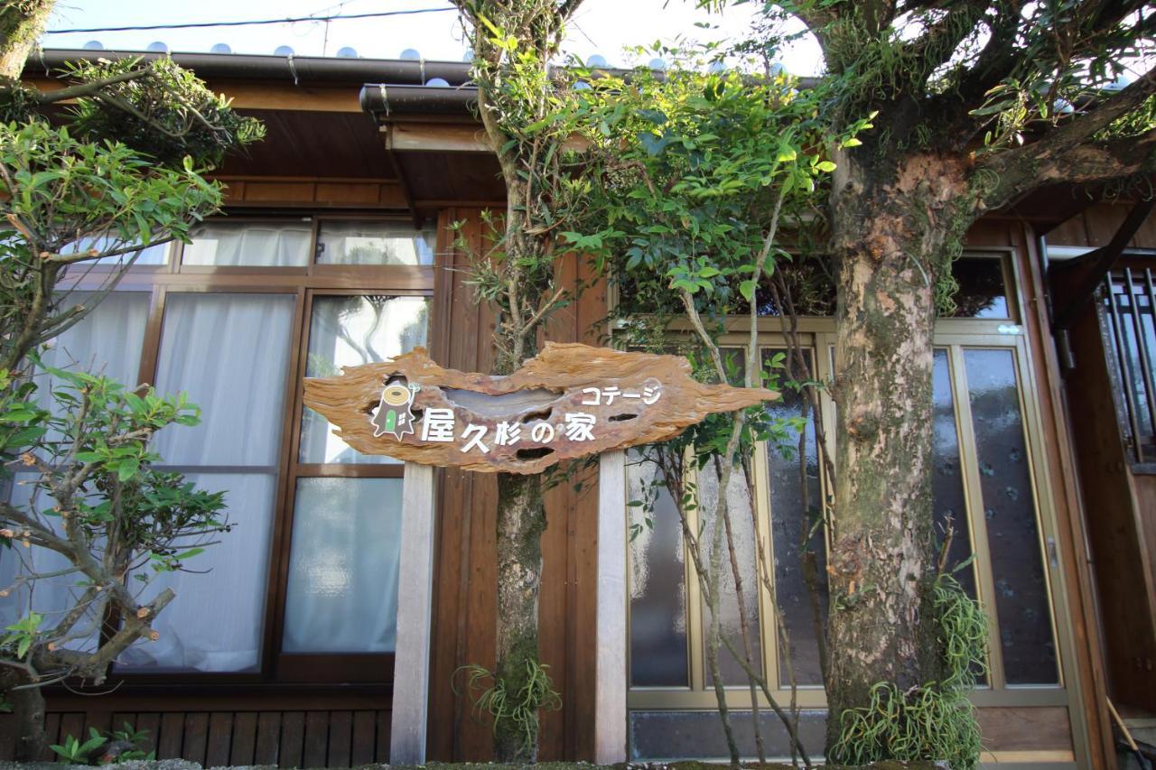 Cottage Yakusugi House Yakushima  Eksteriør billede